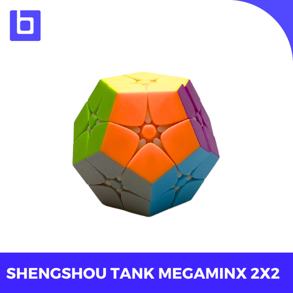 Cube 2x2 Shengshou Tank Megaminx 2x2 Stickerless Original